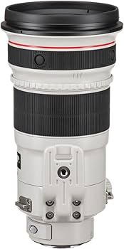 Amazon.com : Canon EF 300mm f/2.8L is II USM Lens (4411B002) +