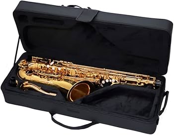 Amazon | Jマイケル テナーサックス TN-900 | リード | 楽器・音響機器