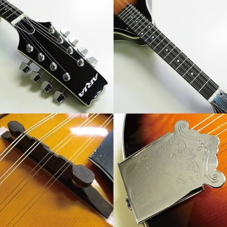 Amazon | ARIA Mandolin AM-20 フラット マンドリン ハードケース付き