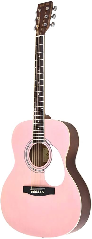 Amazon | HONEY BEE ハニービー アコースティックギター フォーク