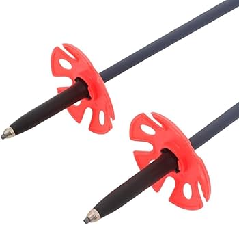 Amazon | フォルクル ストック 2024 VOLKL PHANTASTICK FR BL/RED/YEL