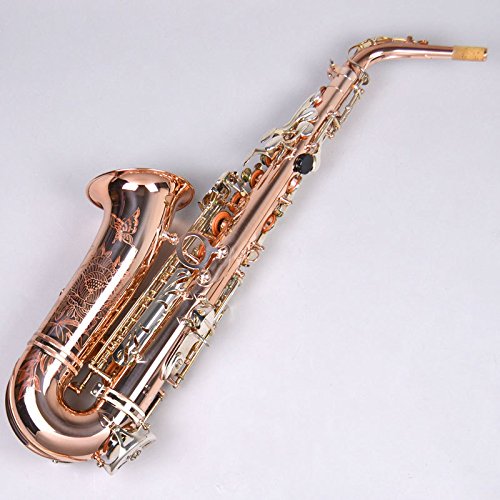 Amazon | IO AS-1065 GLS アルトサックス イオ | サックス | 楽器