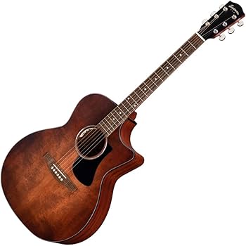 Amazon | イーストマン PCH1-GACE-CLA フィッシュマンピックアップ搭載