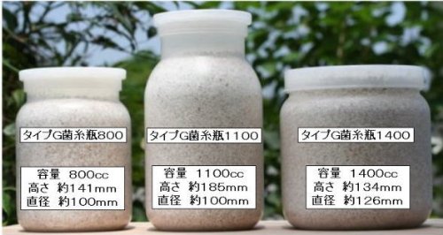 Amazon | タイプG菌糸瓶(菌糸ビン)800 | ドルクスダンケ | 餌 通販