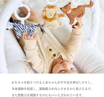 Amazon.co.jp: DockATot(ドッカトット) Deluxe+ トイバンドル