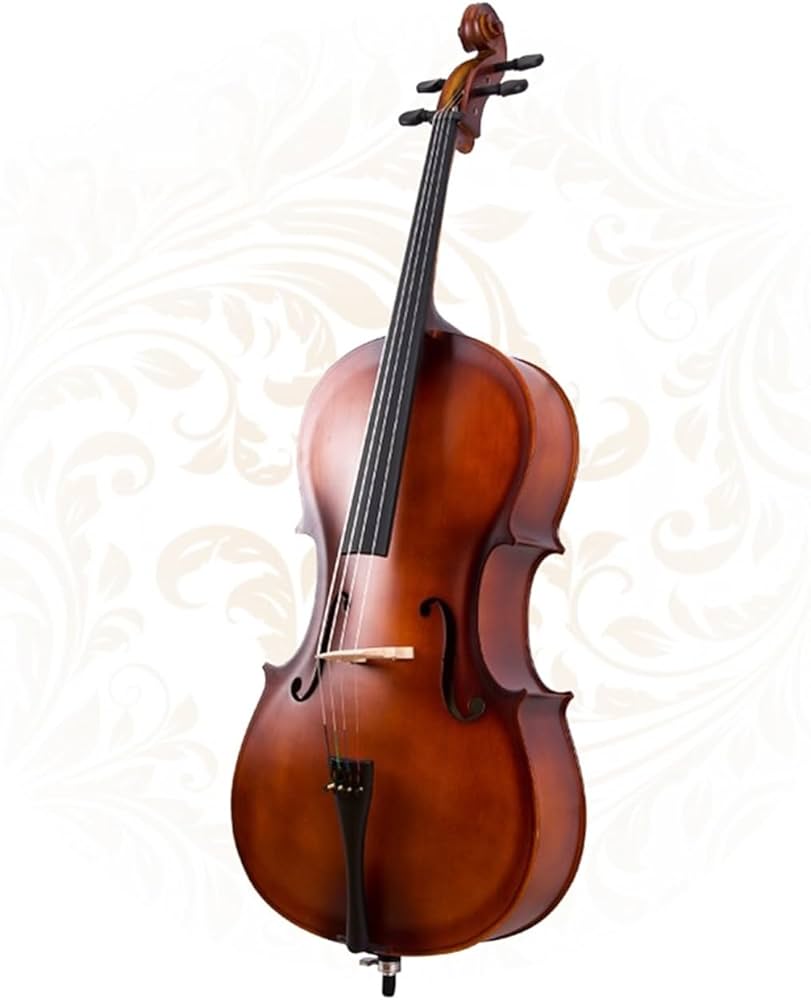 Amazon.co.jp: チェロ チェロ楽器 手作り 杉材 かたい 光沢がある