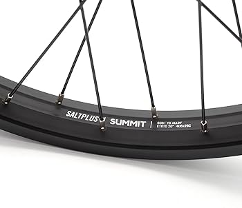 Amazon | ソルト(Salt) BMX用ホイール エベレスト カセットフリー