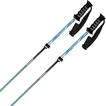 Amazon | OGASAKA オガサカ スキー ポール ストック メンズ レディース