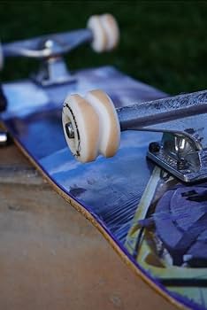 Amazon | Shark Wheel 54mm 96A Pro シグネチャーホイール - Iceman