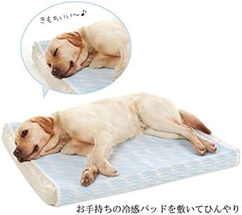 PEPPY(ぺピイ) アルテア 体圧分散マット クリーム Mサイズ Amazon