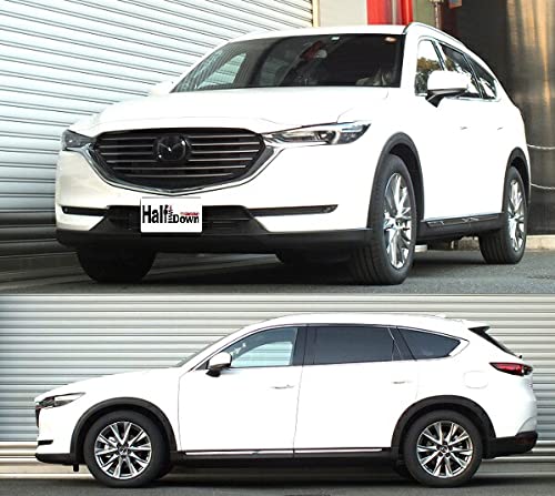 Amazon | RS-R (アールエスアール) ダウンサス【 Ti2000 HALF DOWN