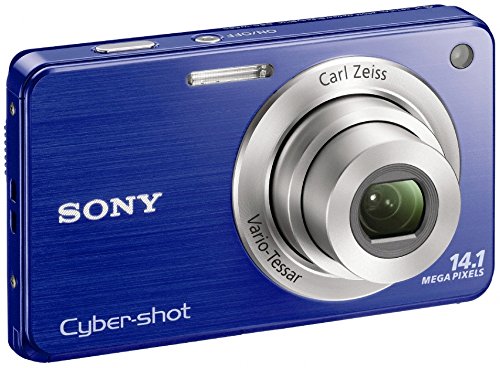 Amazon.com : Sony Cyber-Shot DSC-W560 14.1 MP Digital Still Camera