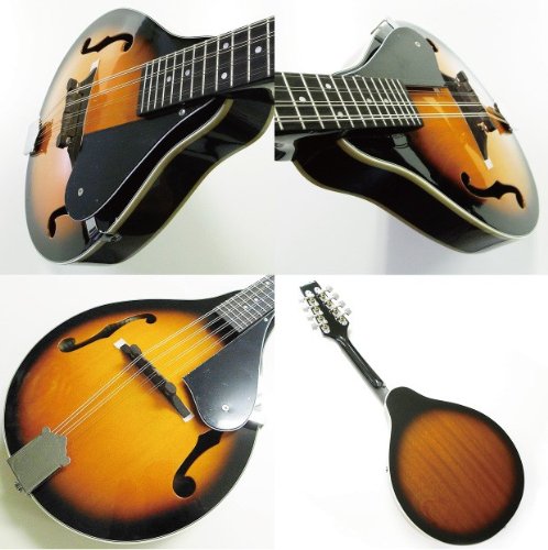 Amazon | ARIA Mandolin AM-20 フラット マンドリン ハードケース付き