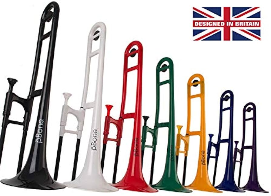 Amazon | pInstruments ピーインストゥルメンツ プラスチック製管楽器