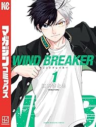 Amazon.co.jp: WIND BREAKER（22） (マガジンポケット