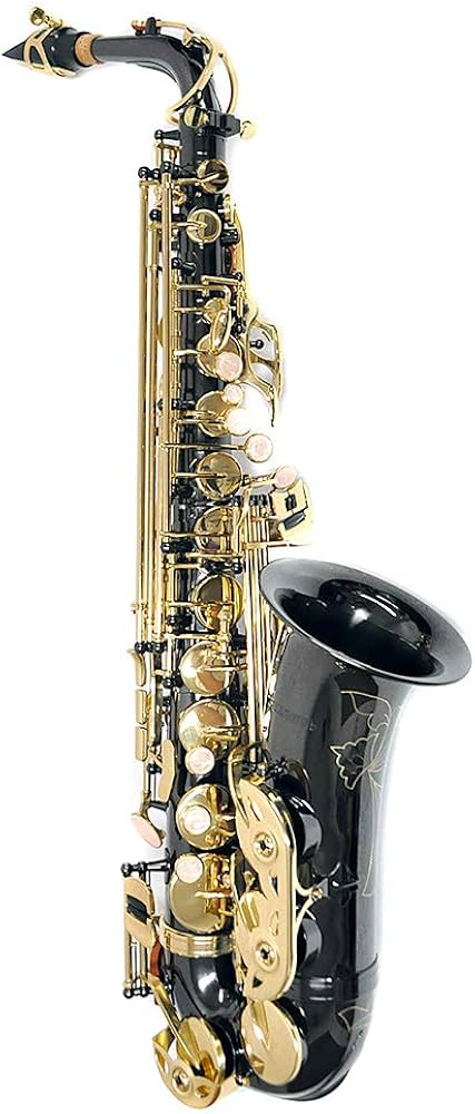 Amazon | サックス ブラック | サックス | 楽器・音響機器
