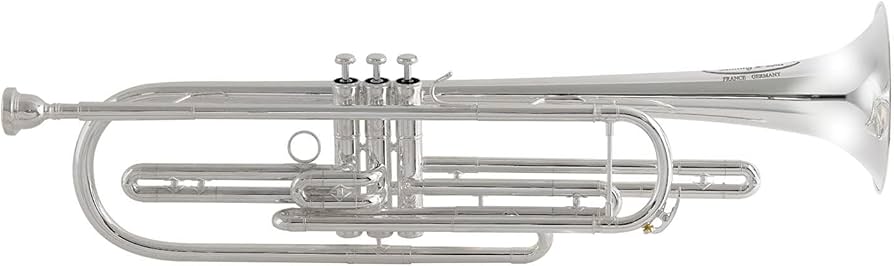 Amazon.co.jp: Behning & Sons アンサンブルを楽しく ピストン バス