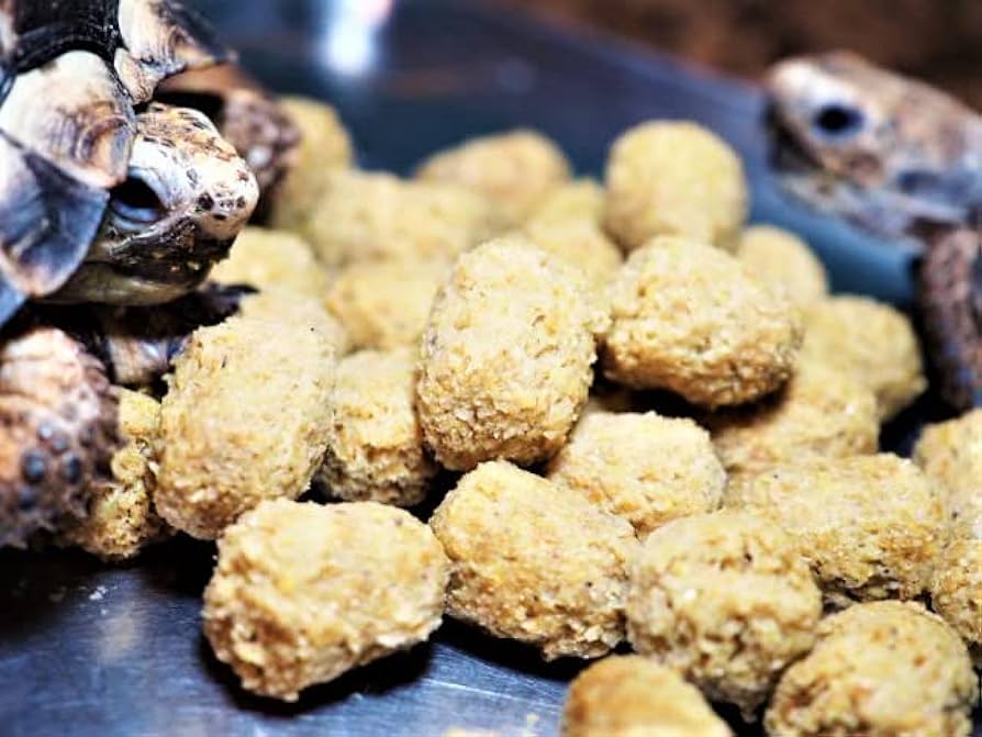 Amazon | 【マズリ社】トータスダイエット 5M21 1000g リクガメ フード