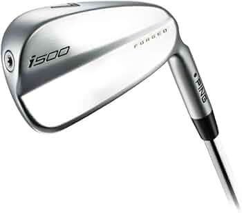 51WhsNPN2yL._AC_UF350,