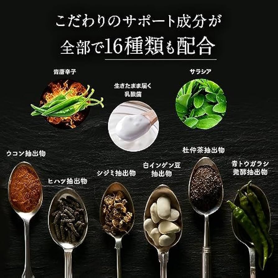 Amazon | ターミナリアファースト 3 従来品 (機能性表示食品 / 120粒×1