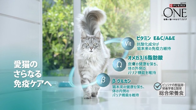 Amazon.co.jp: ピュリナワン キャットフード ドライ 避妊・去勢した猫