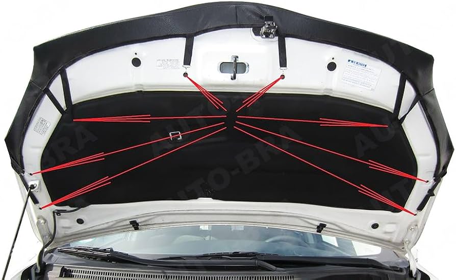 Amazon.co.jp: 30系 プリウス ボンネットブラ ノーズブラ フロント