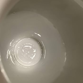 Amazon.co.jp: FRANKLIN PORCELAIN フランクリンポーセリン 大倉陶園