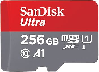 Amazon | サンディスク microSD 256GB UHS-I Class10 Nintendo Switch