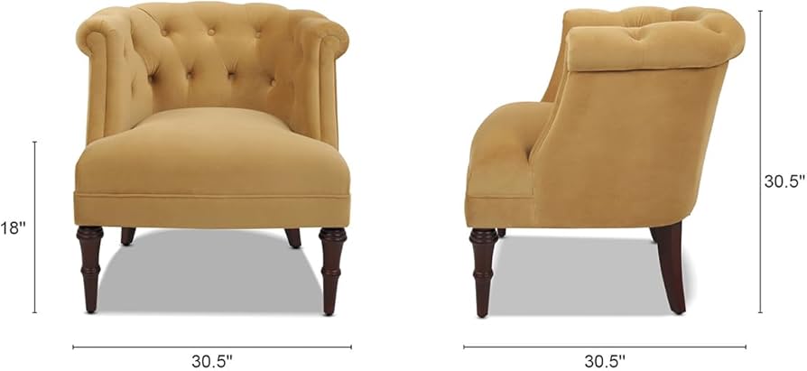 Amazon.com: Jennifer Taylor Home Katherine Velvet Tufted Living