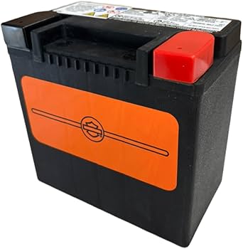 Amazon | ハーレー純正 バッテリー 66000208A AGM 2015年以降XG 2004年