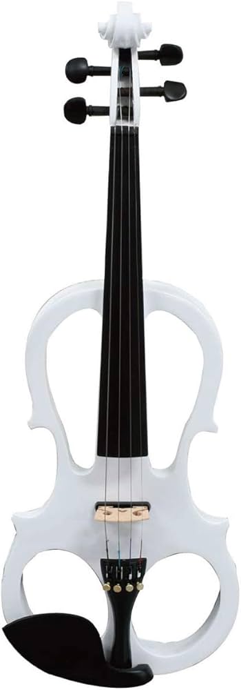 Amazon | キクタニ エレクトリックバイオリン セット 4/4サイズ ESV