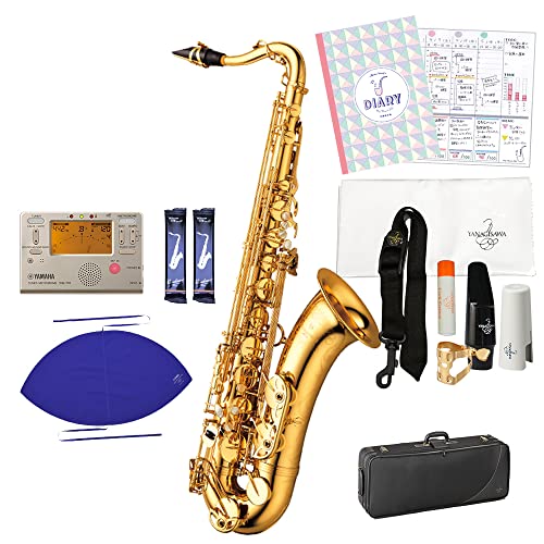 Amazon.co.jp: YANAGISAWA T-WO10 初心者セット テナーサックス
