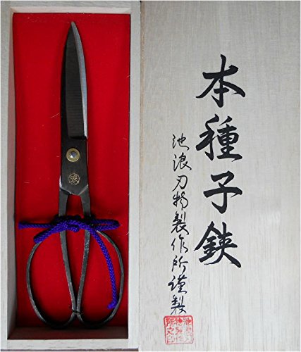 Amazon | 種子島本種 池浪刃物製作l所 種子鋏（たねばさみ）黒仕上げ 6