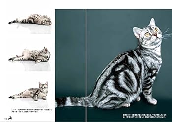 猫の本 世界の猫42種類 (フォトブック) | 株式会社エディング |本