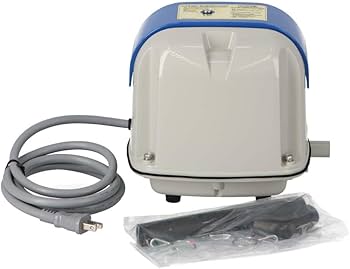 51eJO0OTSmL._AC_UF350,