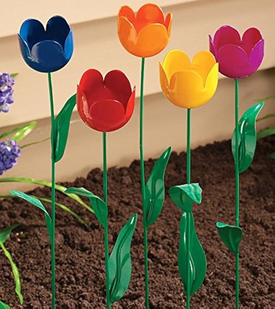 Amazon.com: Fox Valley Traders Miles Kimball Varying Colors Set of