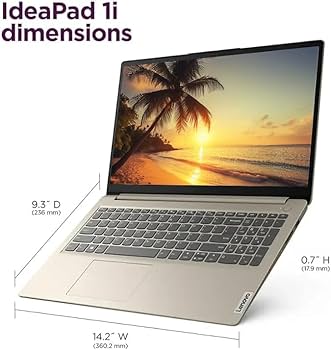 Amazon.com: Lenovo IdeaPad 15.6 inch Laptop Computer with
