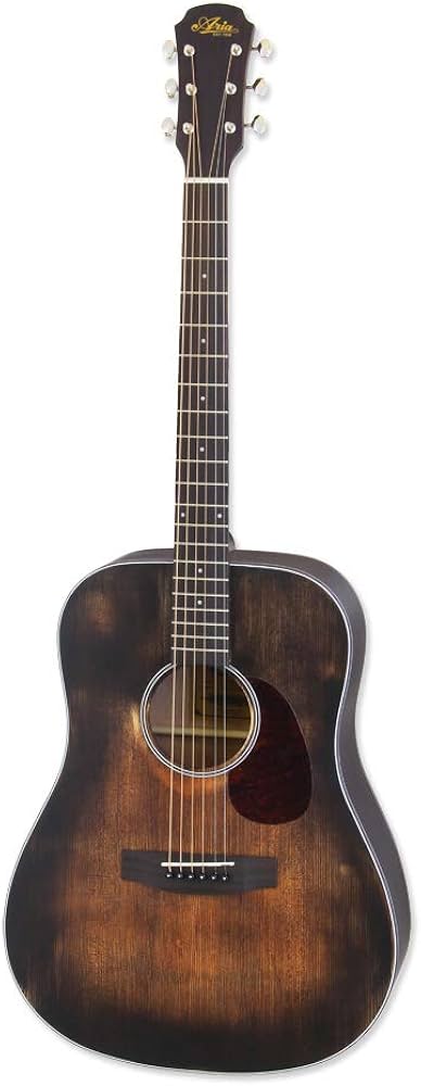 Amazon.com: Aria Delta Player 6 String Acoustic Guitar, Muddy