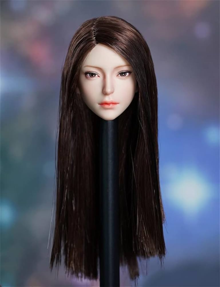 Amazon.co.jp: HiPlay 1/6 フィギュア ヘッド 頭 アジア 欧米 美人