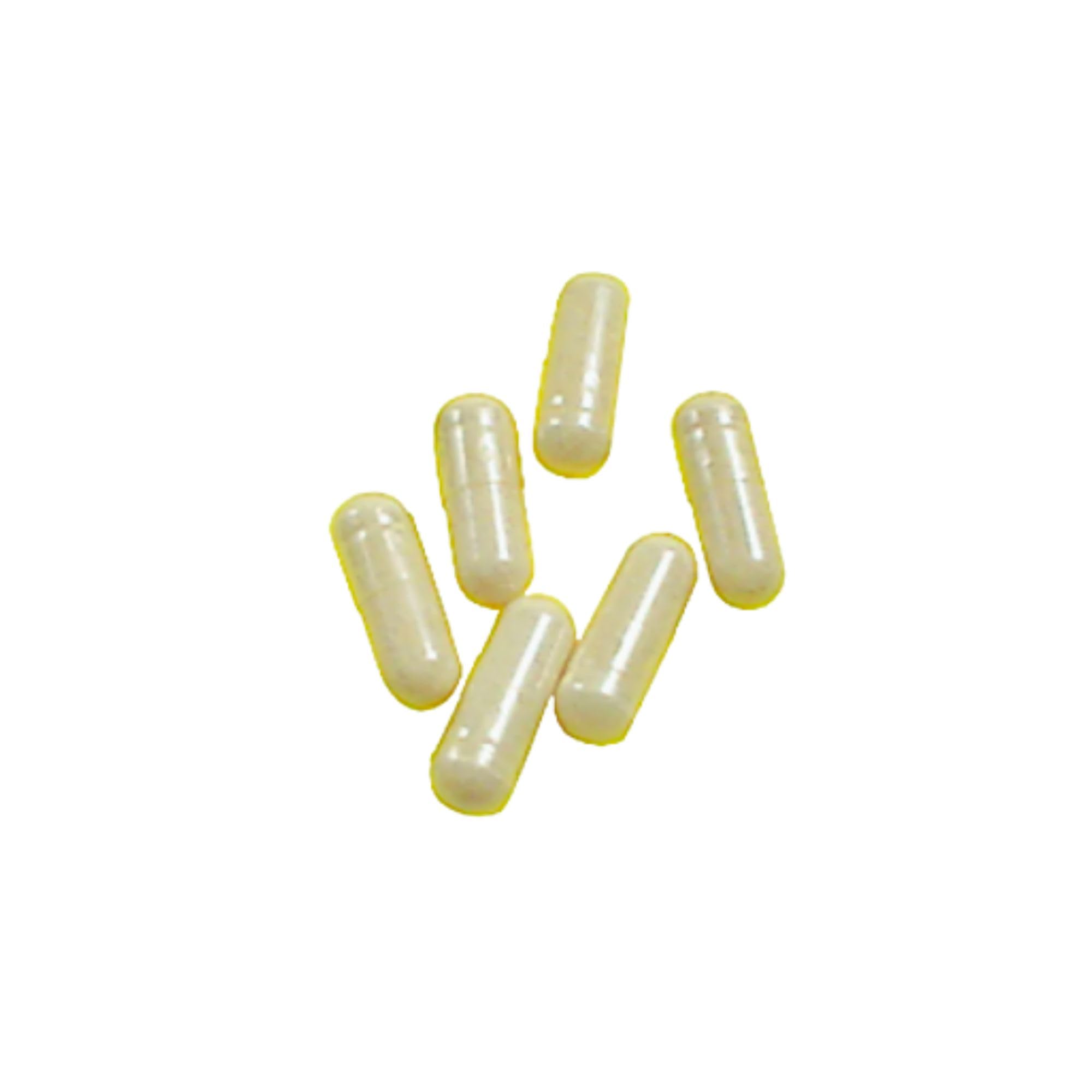 Amazon | ニュースキン｜ファイバーネット｜30パック（15日分目安