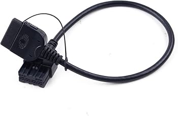 Amazon.com: Eastar 30 Pin AUX Input Cable Adapter Fit for iPod