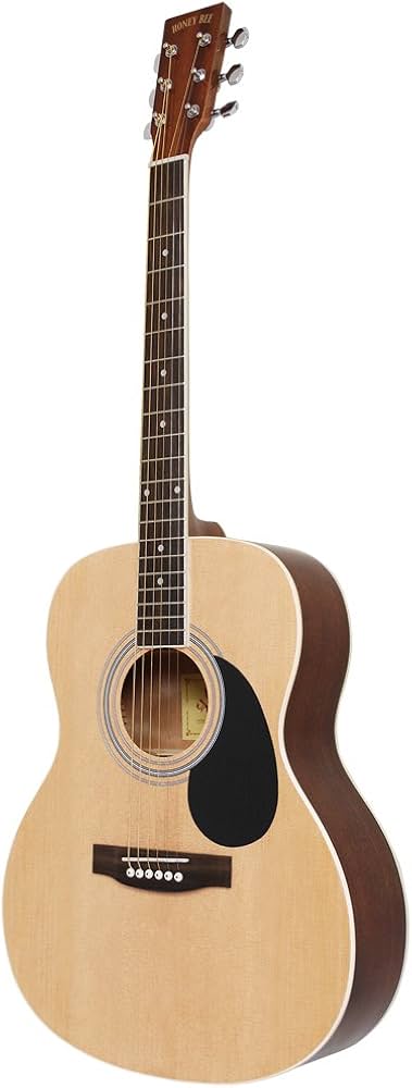 Amazon | HONEY BEE ハニービー アコースティックギター フォーク