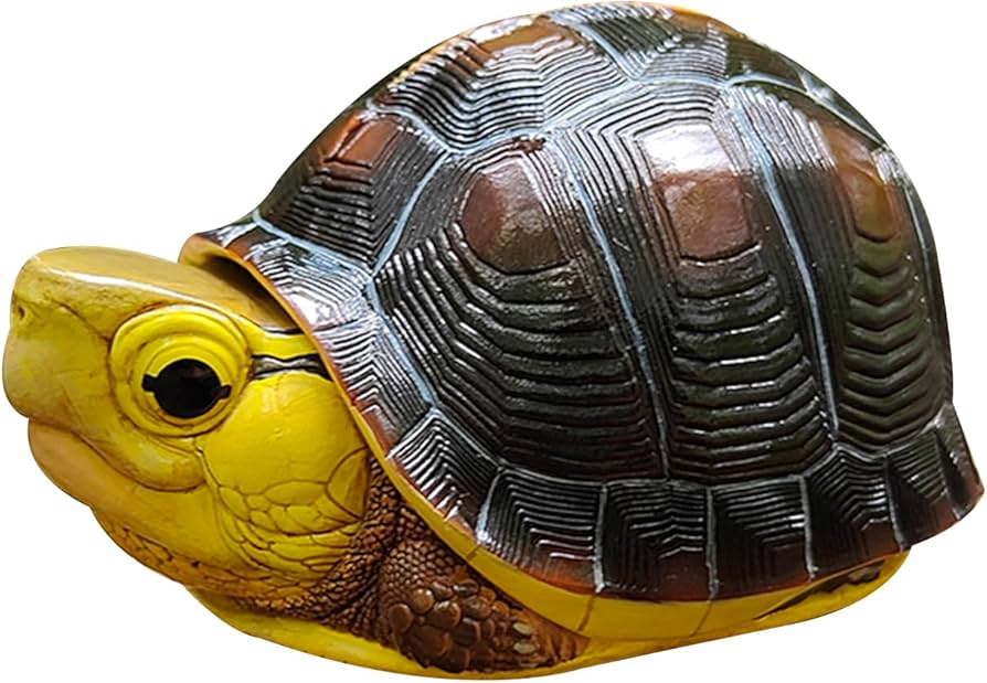 Amazon.co.jp: BACALYSO | 動物惑星 カメ 亀 ガチャガチャ ブラインド