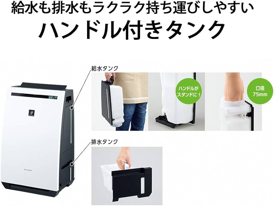 617-BlQRiNL._AC_UF894,