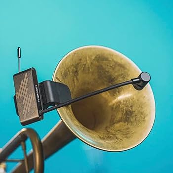 618rfNmUFAL._AC_UF350,