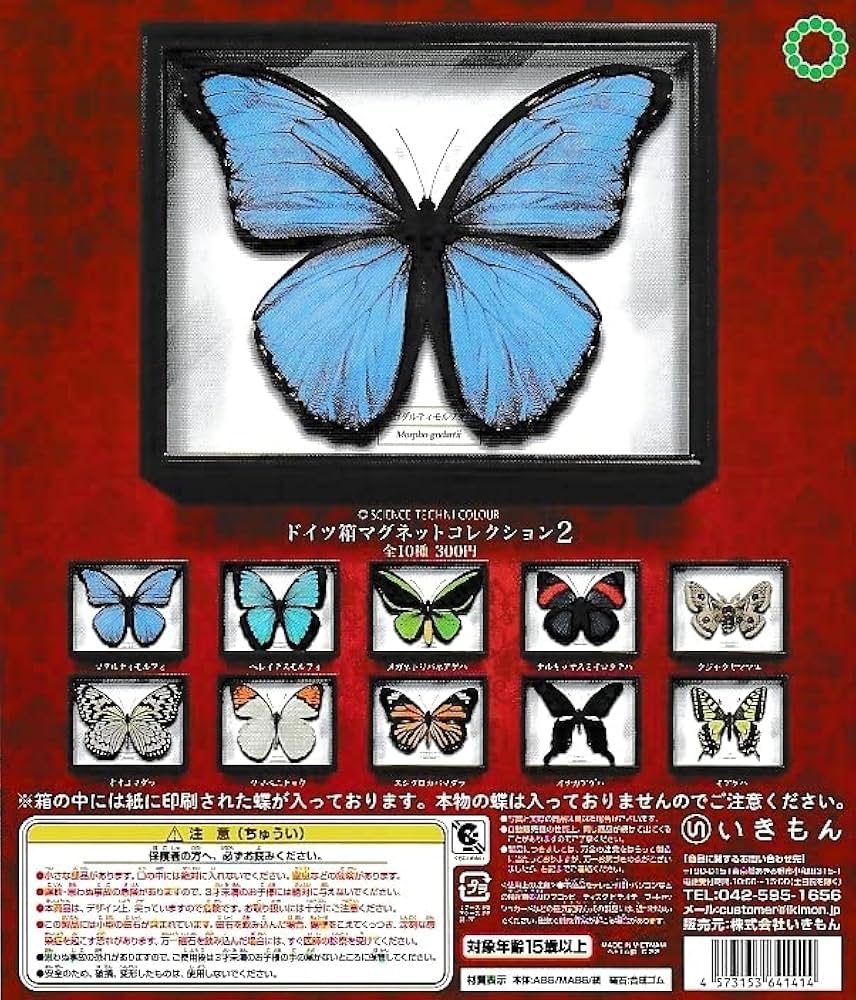 中型ドイツ箱 2個 展翅テープ・殺虫瓶・三角紙 追加あり(6/16) 中型