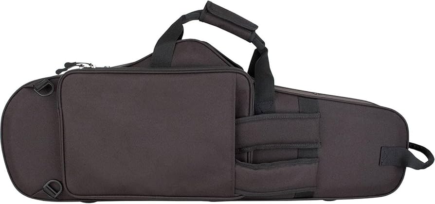 Amazon | プロテック PROTEC テナーサックス用 軽量セミハードケース