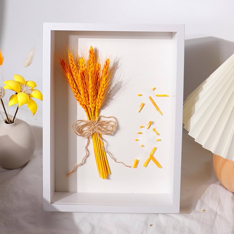 Amazon.co.jp: [LSDZW] 額縁 A4 12.7*17.8cm 20.3*25.4cm 木製 立体額