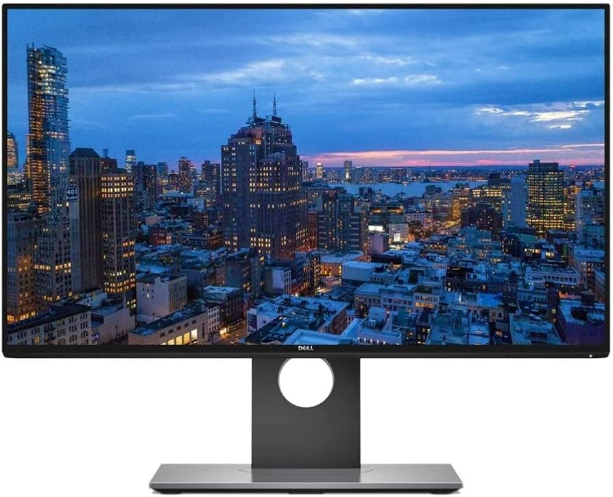 Amazon.com: Dell UltraSharp U2417H 24