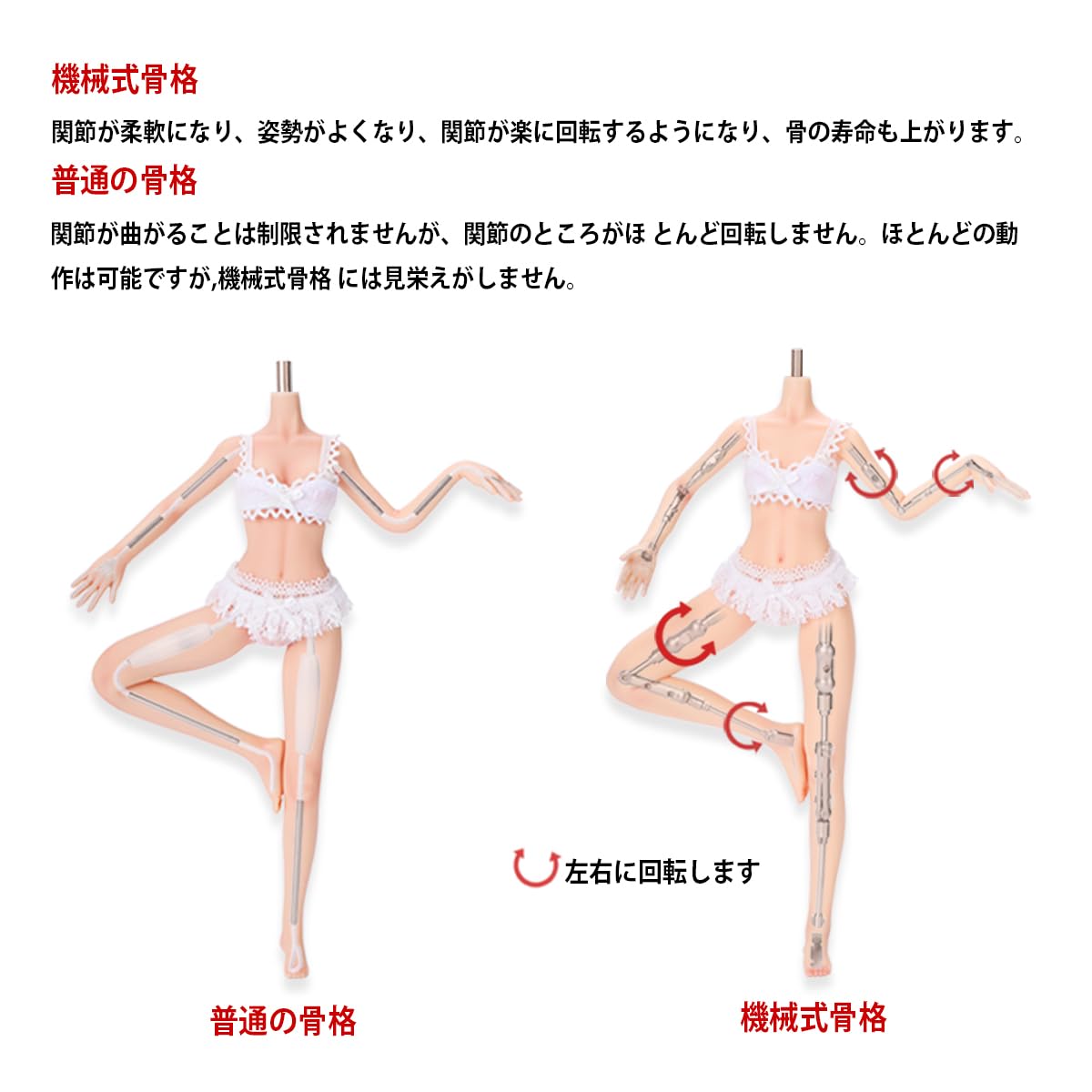 Amazon.co.jp: 【LDDOLL】1/6 フィギュア 女性 超柔軟性・シームレス